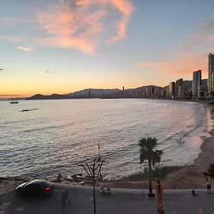 Don Miguel 1-Fincas Benidorm